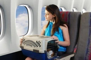 transportin-perro-avion