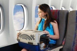transportin-perro-avion