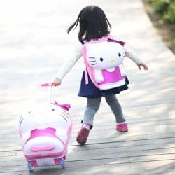 20 pulgadas Hello Kitty de embarque maleta de viaje, mujeres alta calidad  resistente ABS caja de equipaje ruedas carro, colorida caja de la  carretilla|case 5.3|case crown iphone casescase - AliExpress